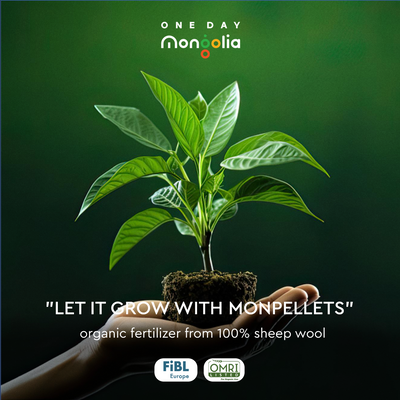 Our Exciting Partnership with "Monpellets" – Bringing Sustainable Agriculture to The World