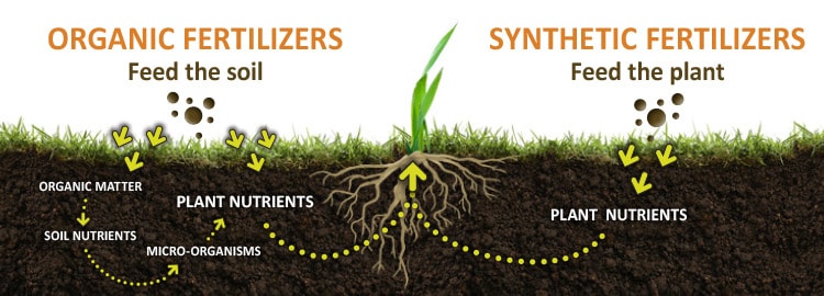 Monpellets Organic Fertilizer from Sheep Wool