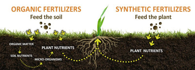 Monpellets Organic Fertilizer from Sheep Wool