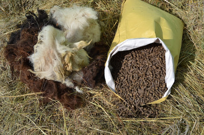 Monpellets Organic Fertilizer from Sheep Wool